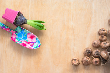 Similar image 16306629