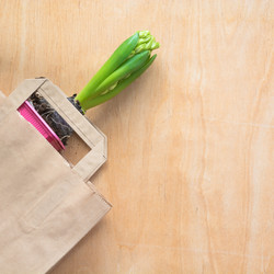 Similar image 16306693