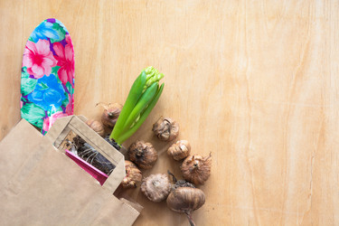 Similar image 16306916