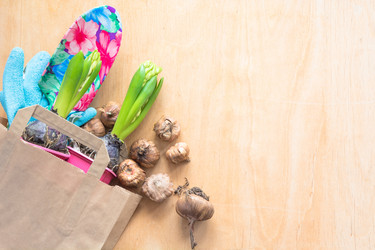 Similar image 16306938