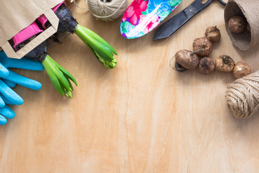 Similar image 16306980