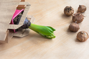 Similar image 16306999