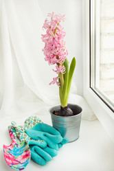 Similar image 16307019