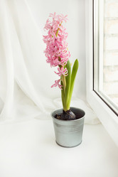 Similar image 16308039