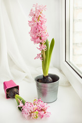 Similar image 16308052