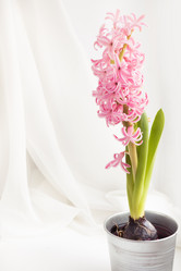 Similar image 16308061