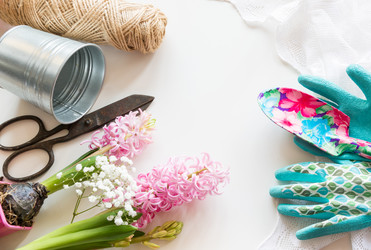 Similar image 16309088