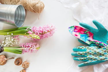 Similar image 16308243