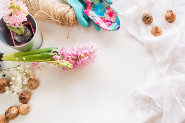 Similar image 16308263