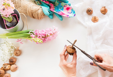 Similar image 16308280