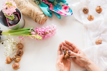 Similar image 16308294