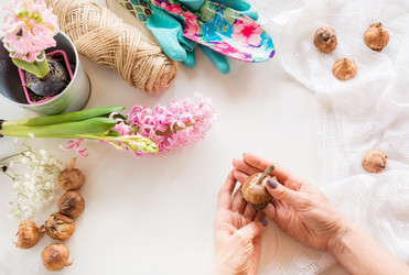 Similar image 16308312