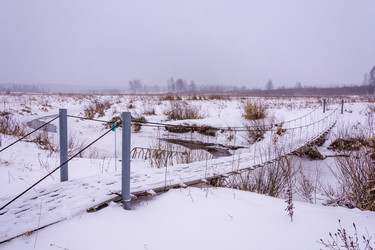 Similar image 16572719