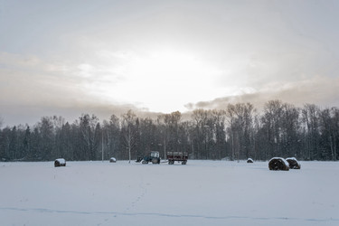 Similar image 16572720