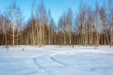 Similar image 16572445