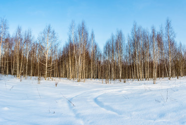 Similar image 16572896