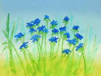 Similar image 16259494