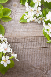 Similar image 16309023