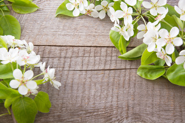 Similar image 16310256