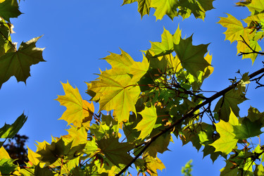 Similar image 16259543