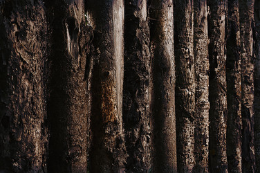 Similar image 16248892