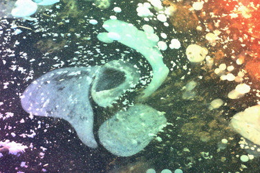 Similar image 16249384