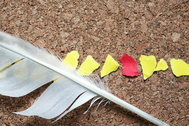 Similar image 16571599