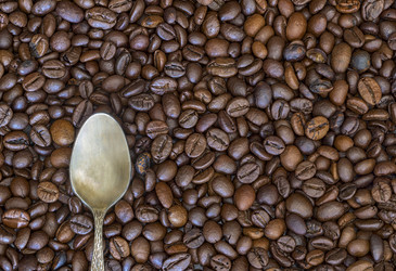 Similar image 16572258