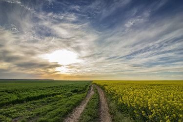 Similar image 16572332