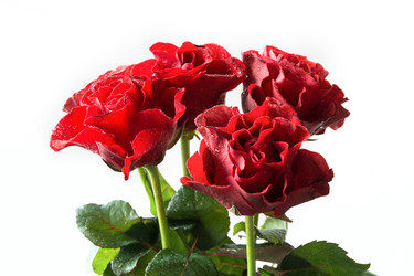 Similar image 16384029