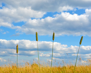 Similar image 16571568