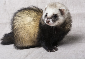 Similar image 16571570