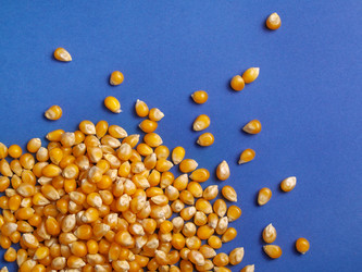 Similar image 16571572