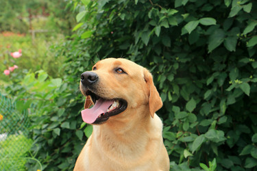 Similar image 16571787