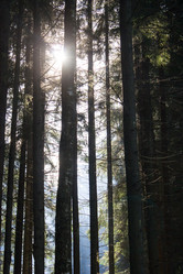 Similar image 16571864