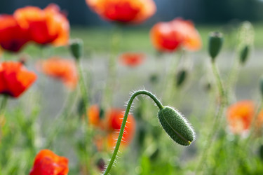 Similar image 16923063