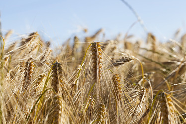 Similar image 17543125