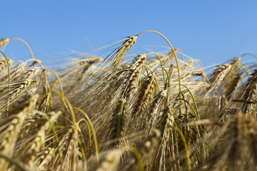 Similar image 17543127