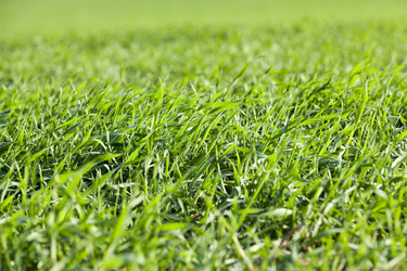 Similar image 16923051