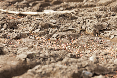 Similar image 17543128