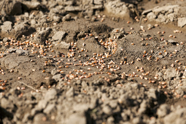 Similar image 17543129