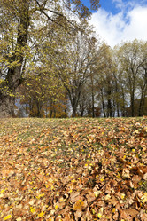 Similar image 16923069