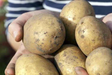 Similar image 16924171