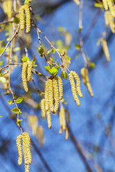 Similar image 16924172