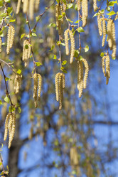 Similar image 16924173