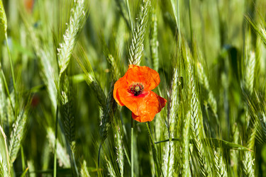 Similar image 16924183