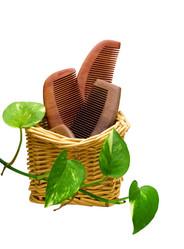 Similar image 17543474