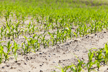 Similar image 16923087