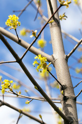 Similar image 16924195