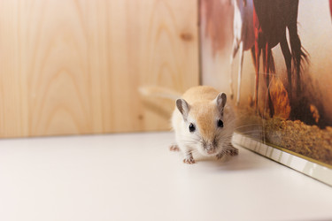 Similar image 16925461